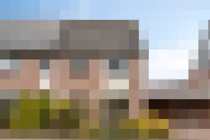 Hondelink 94 Haaksbergen thumbnail 4