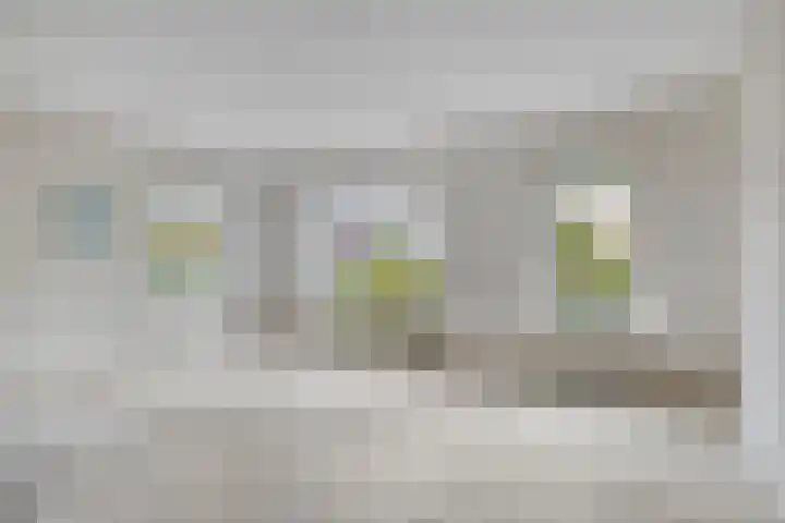 Hondelink 94 Haaksbergen thumbnail 5