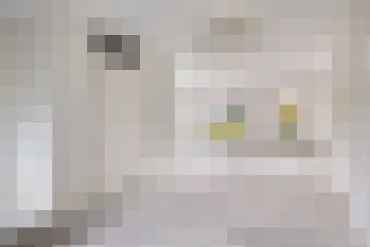 Hondelink 94 Haaksbergen thumbnail 9