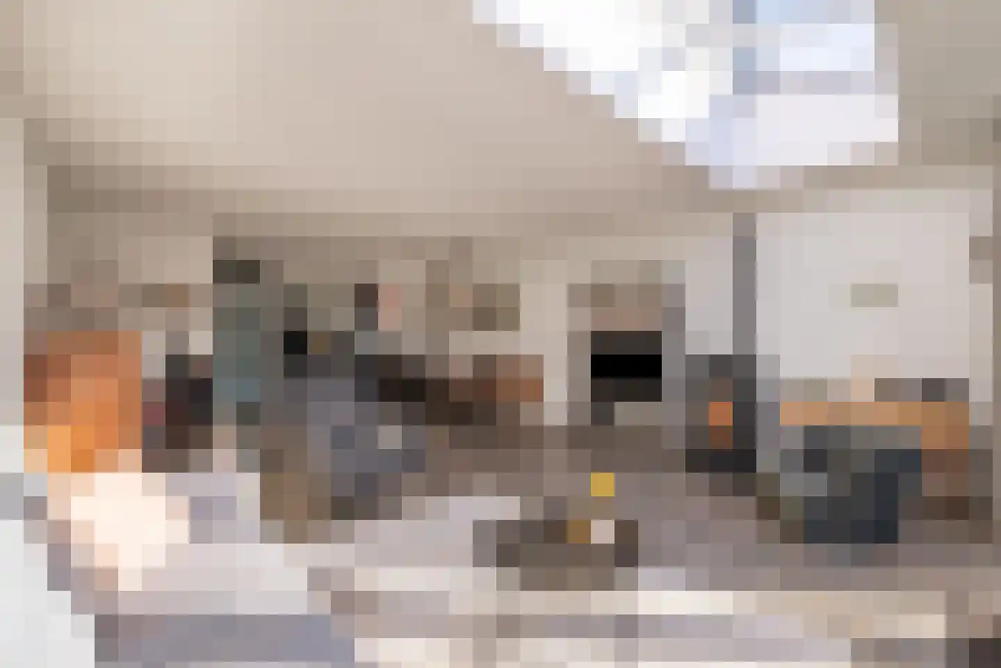 Hondemahof 14 Krommenie thumbnail 10