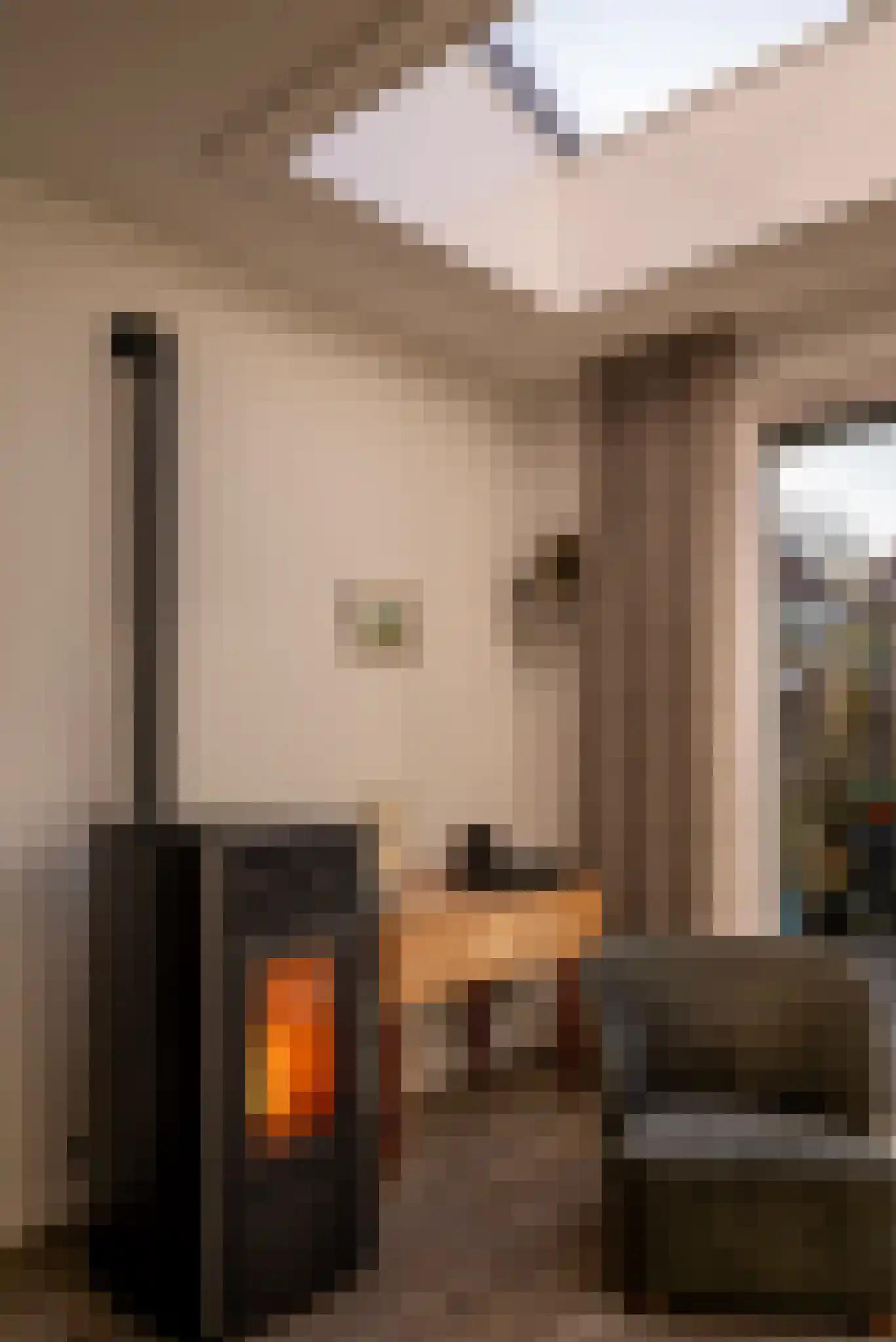 Hondemahof 14 Krommenie thumbnail 12