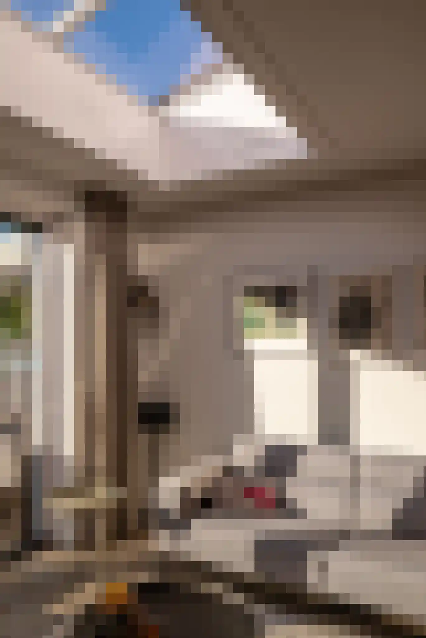 Hondemahof 14 Krommenie thumbnail 13