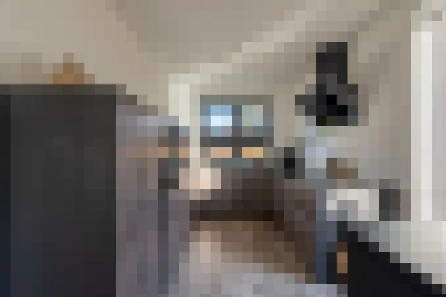 Hondemahof 14 Krommenie thumbnail 15