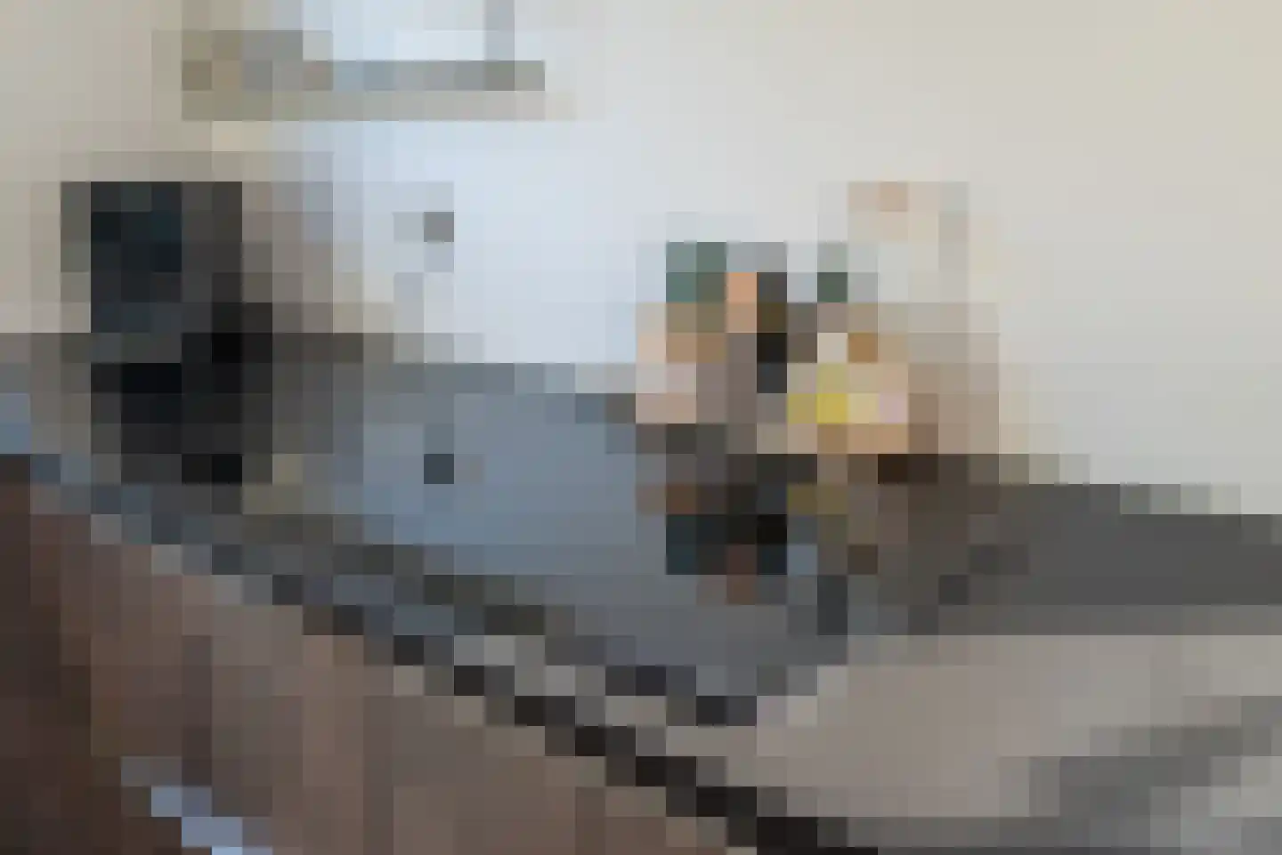 Hondemahof 14 Krommenie thumbnail 16