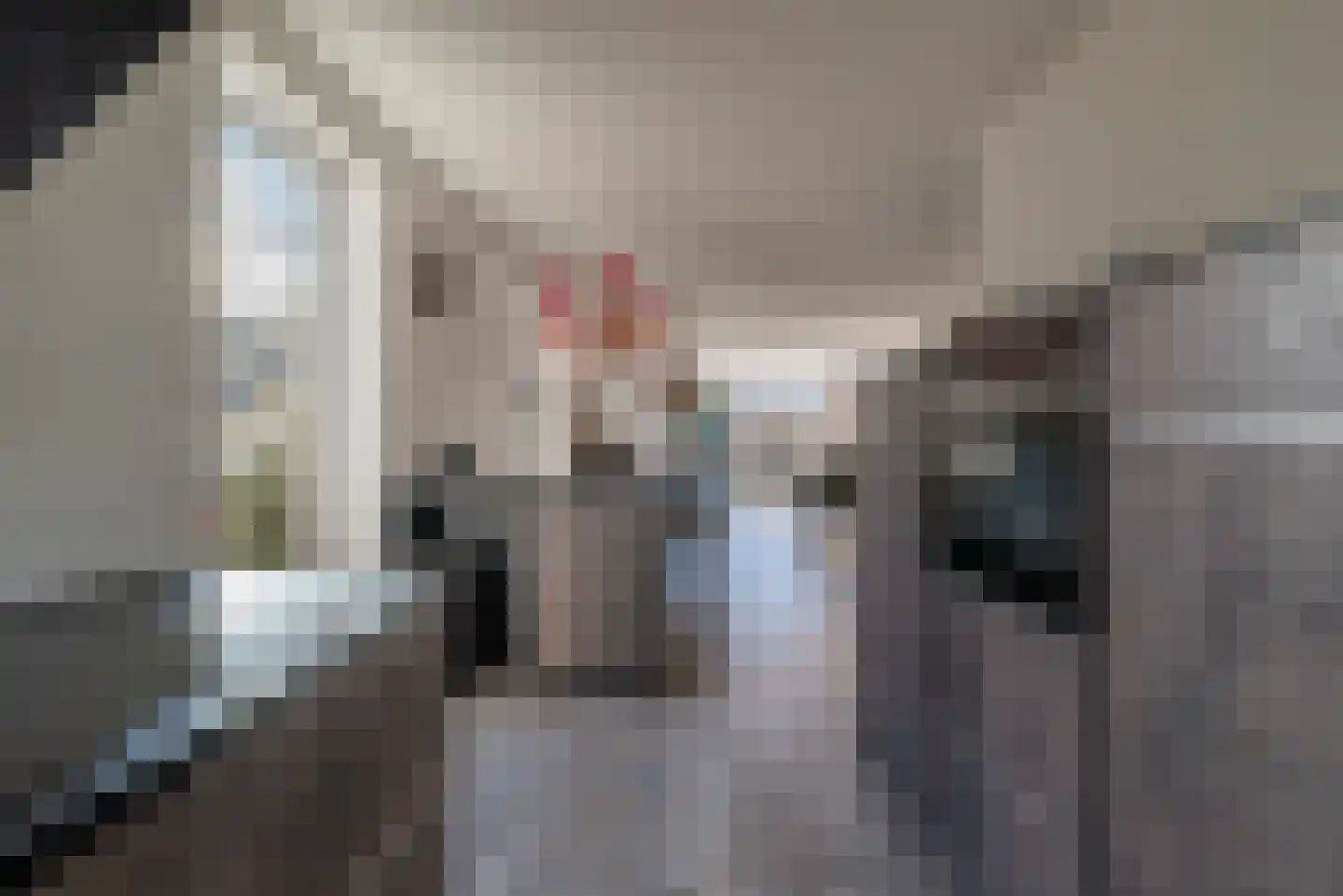 Hondemahof 14 Krommenie thumbnail 18