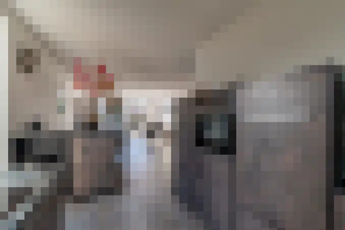 Hondemahof 14 Krommenie thumbnail 19