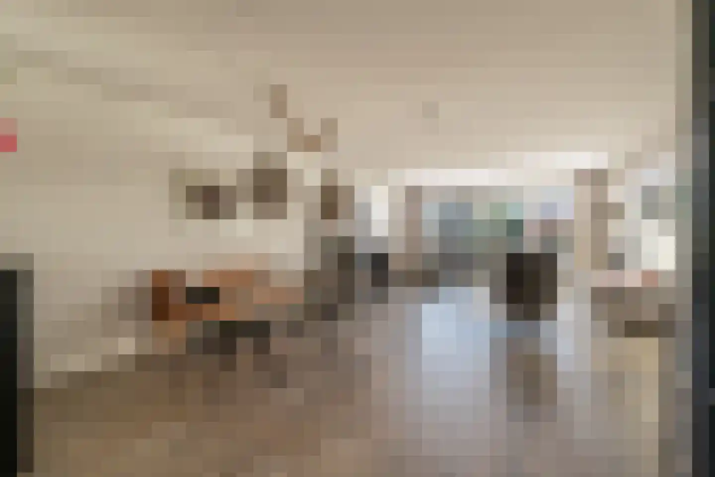 Hondemahof 14 Krommenie foto 2