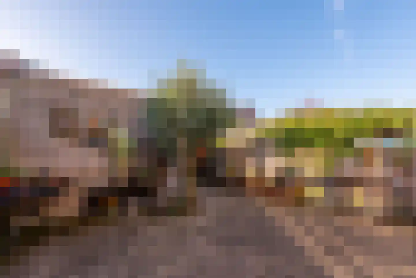 Hondemahof 14 Krommenie thumbnail 21