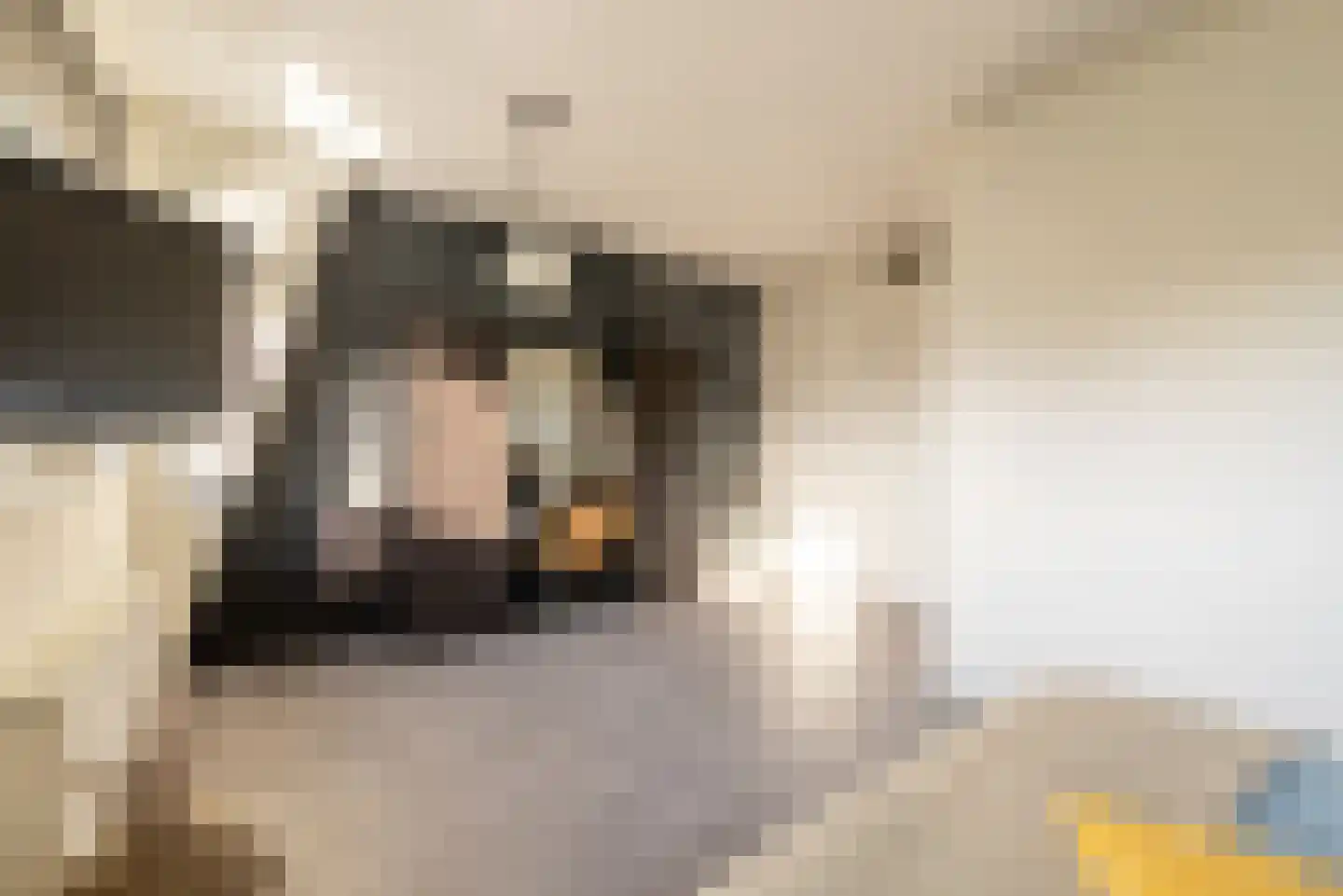 Hondemahof 14 Krommenie thumbnail 26