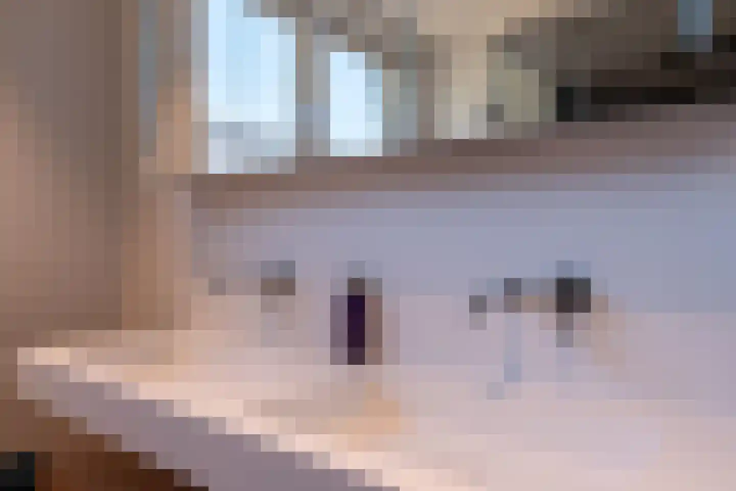 Hondemahof 14 Krommenie thumbnail 28