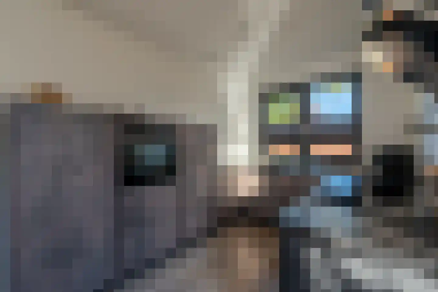 Hondemahof 14 Krommenie foto 3