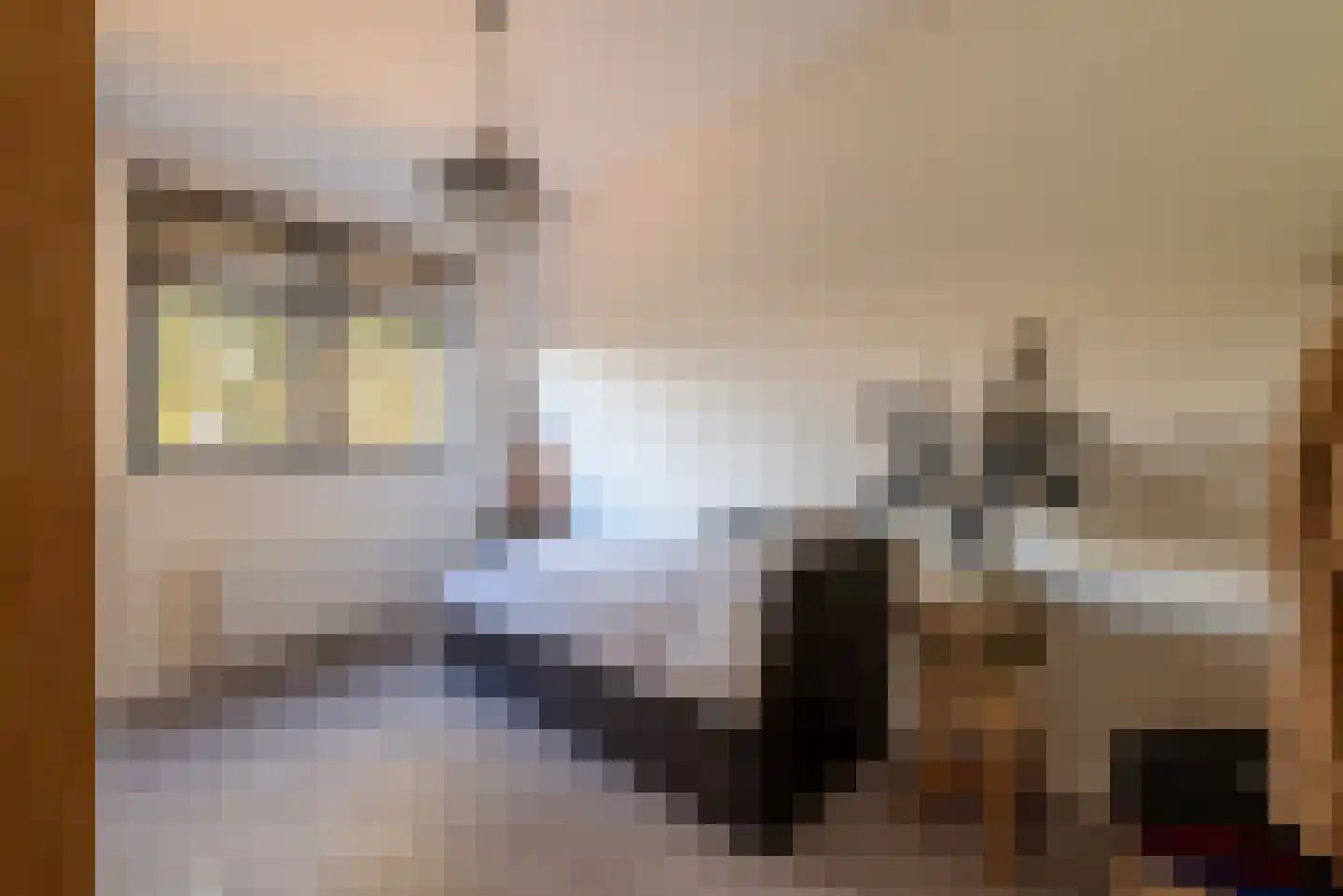 Hondemahof 14 Krommenie thumbnail 31