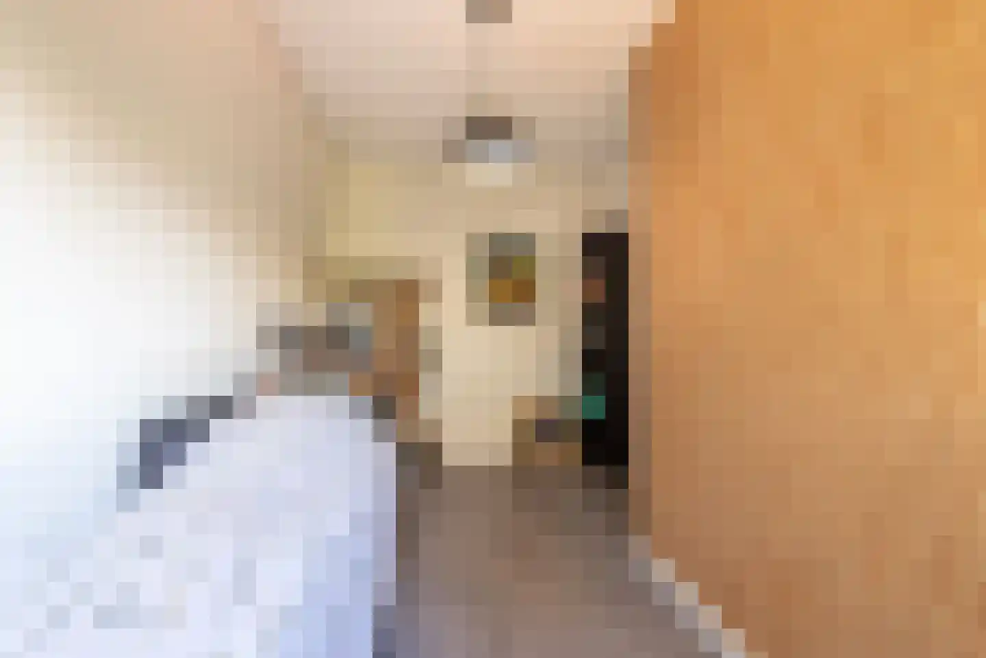 Hondemahof 14 Krommenie thumbnail 32