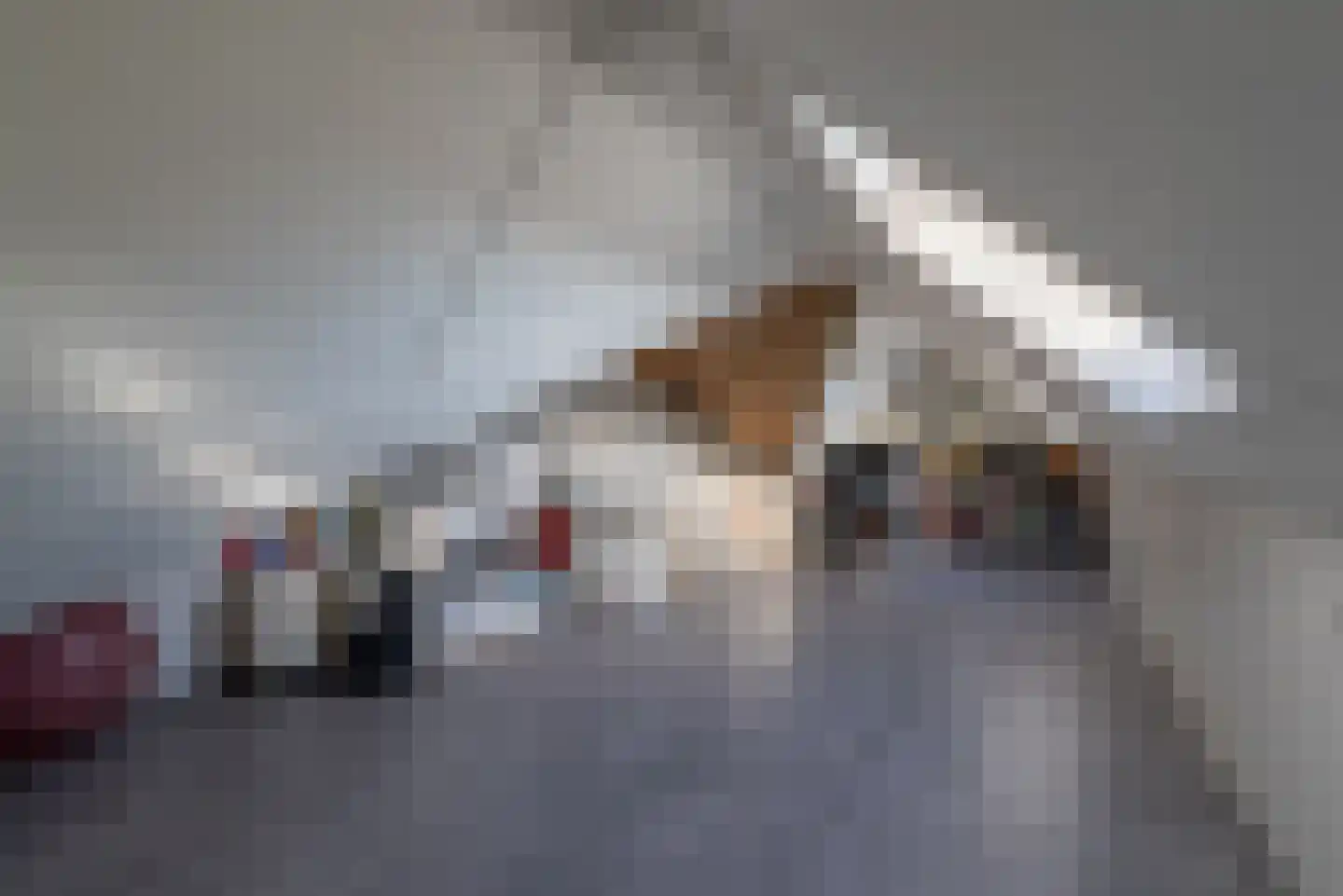 Hondemahof 14 Krommenie thumbnail 33
