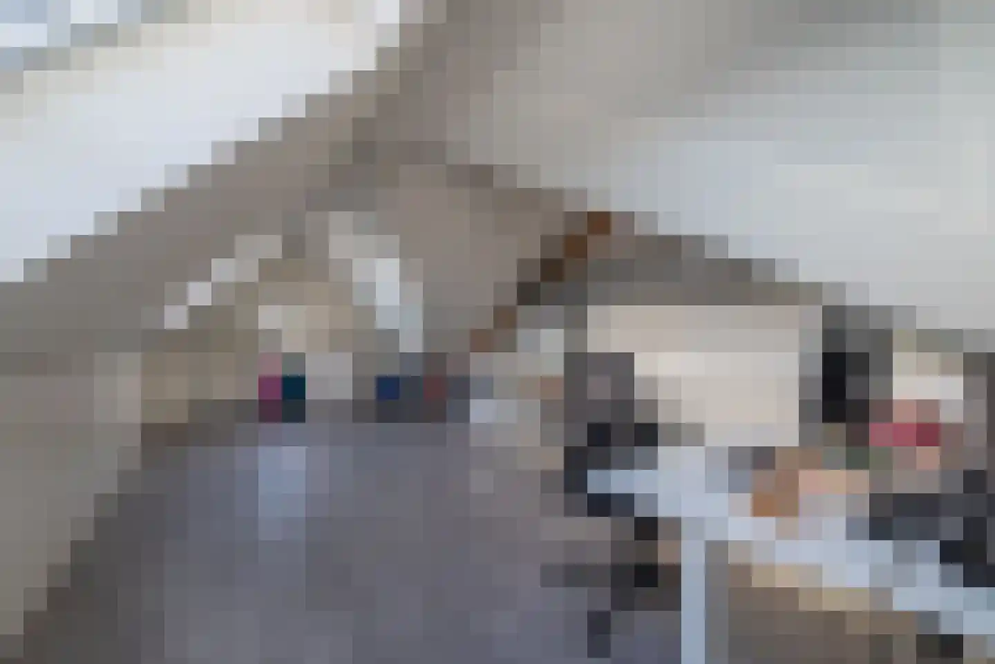 Hondemahof 14 Krommenie thumbnail 35