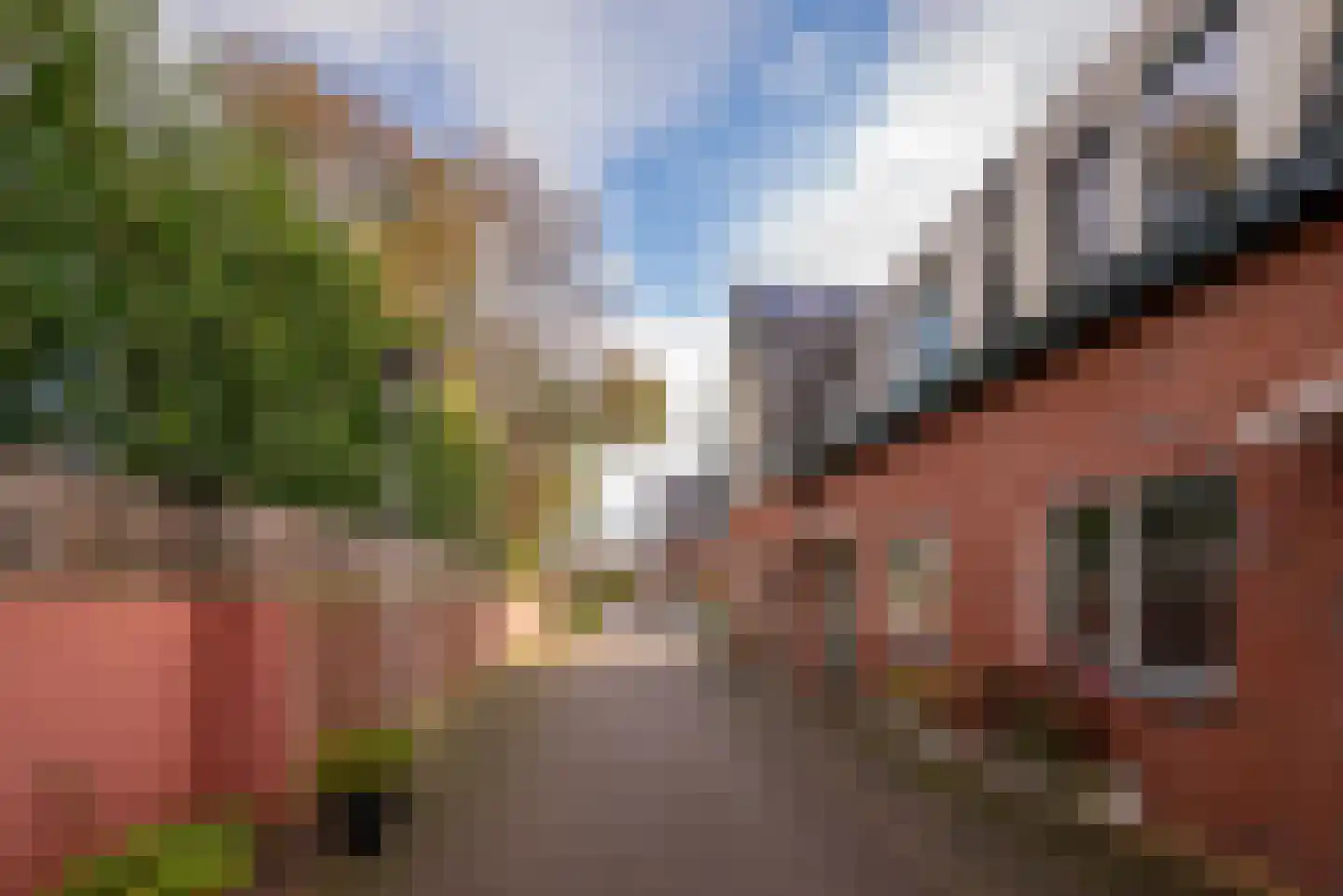 Hondemahof 14 Krommenie thumbnail 38