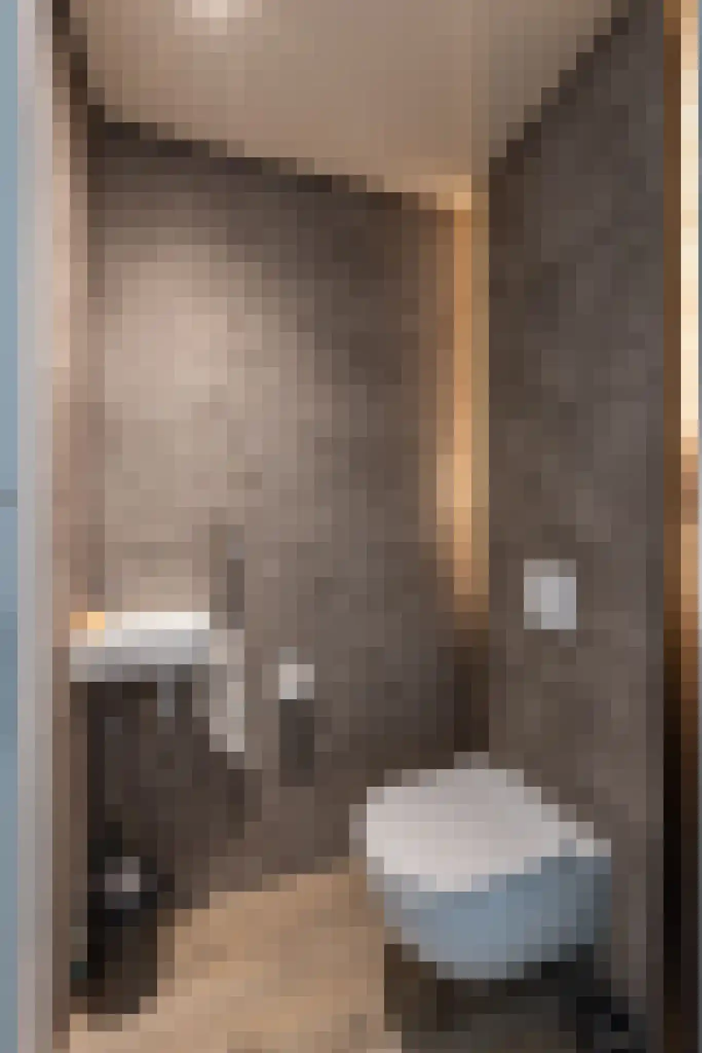 Hondemahof 14 Krommenie thumbnail 7