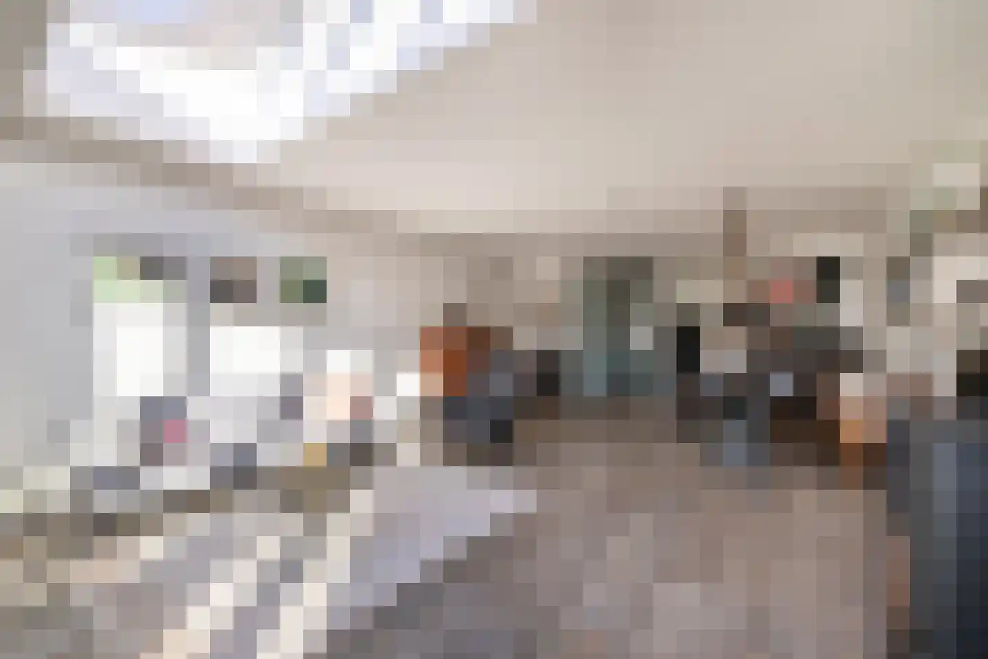 Hondemahof 14 Krommenie thumbnail 8