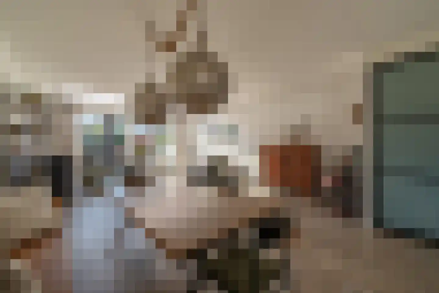 Hondemahof 14 Krommenie thumbnail 9