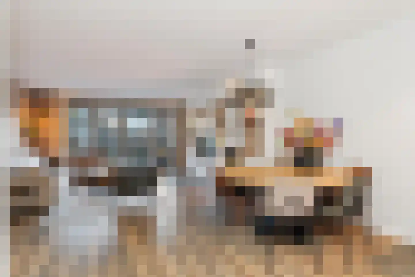 Hondemahof 16 Krommenie thumbnail 11