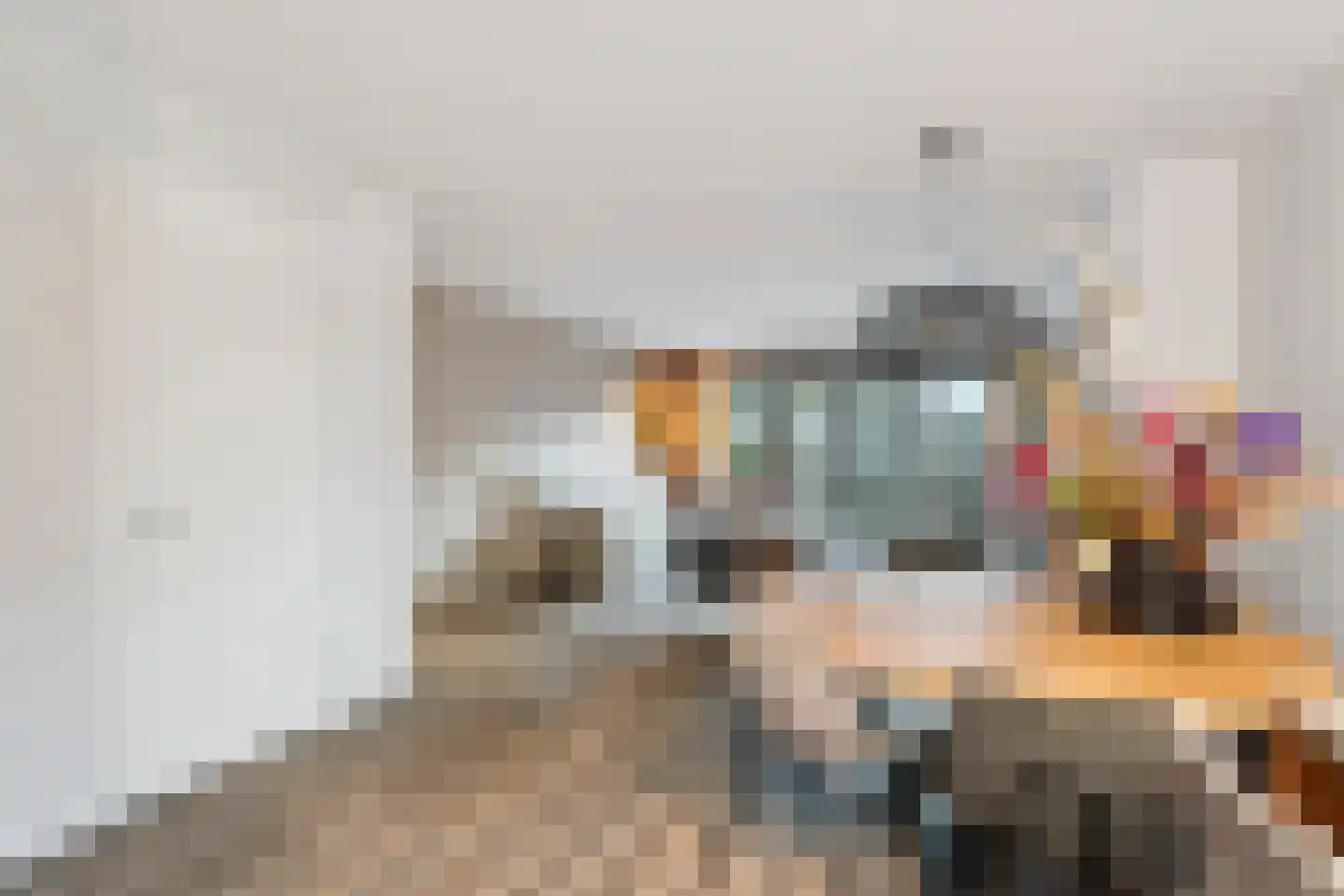 Hondemahof 16 Krommenie thumbnail 12