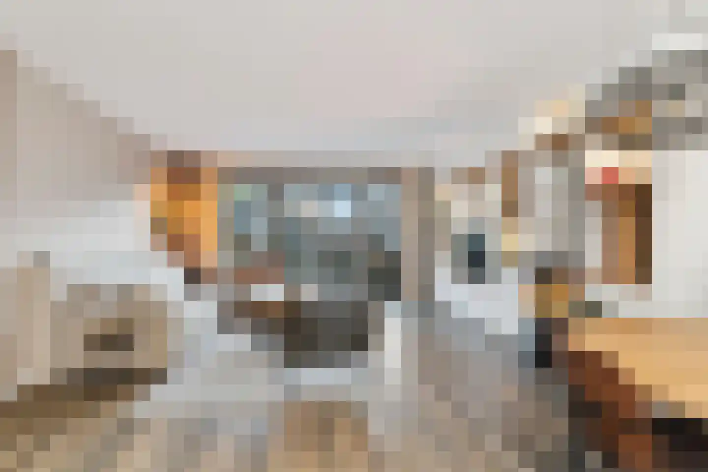 Hondemahof 16 Krommenie thumbnail 13