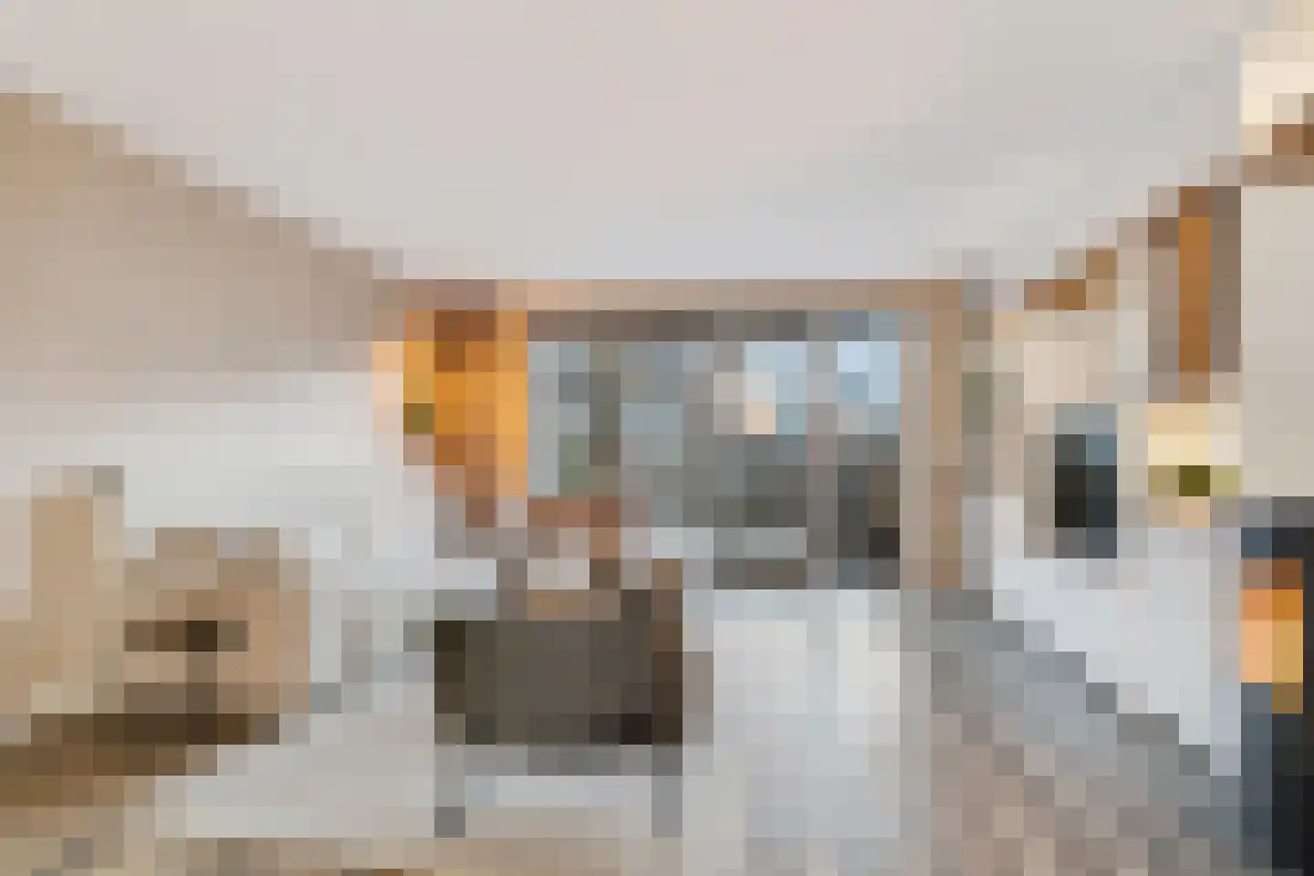 Hondemahof 16 Krommenie thumbnail 14
