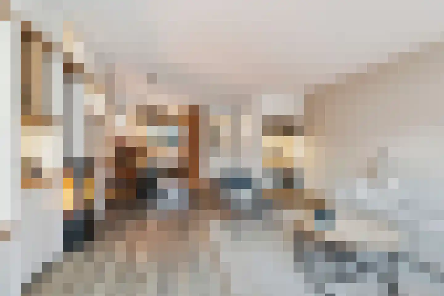 Hondemahof 16 Krommenie thumbnail 16