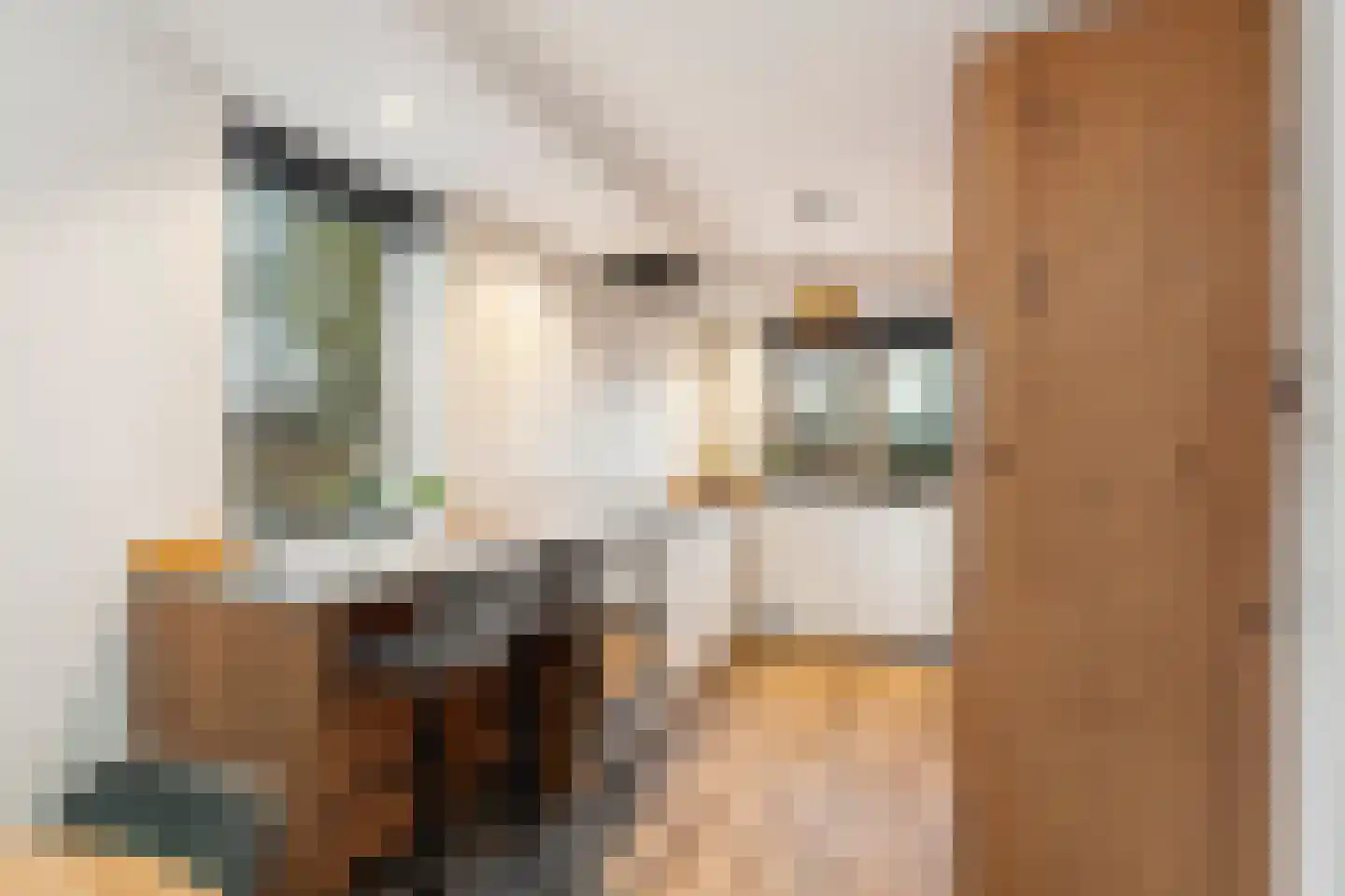 Hondemahof 16 Krommenie thumbnail 20