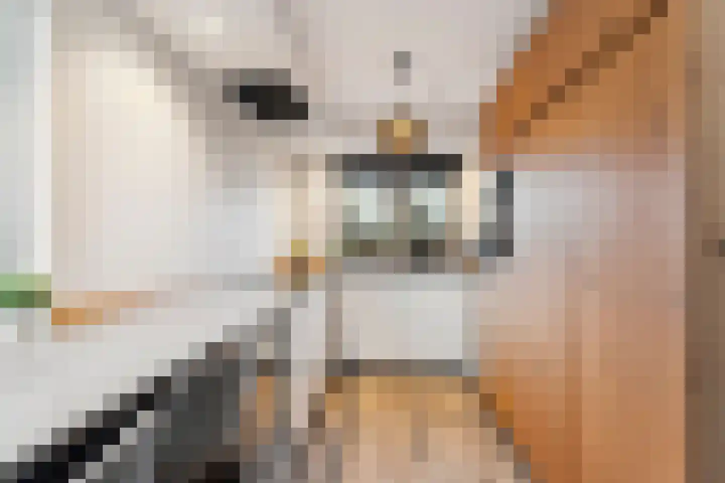 Hondemahof 16 Krommenie thumbnail 21
