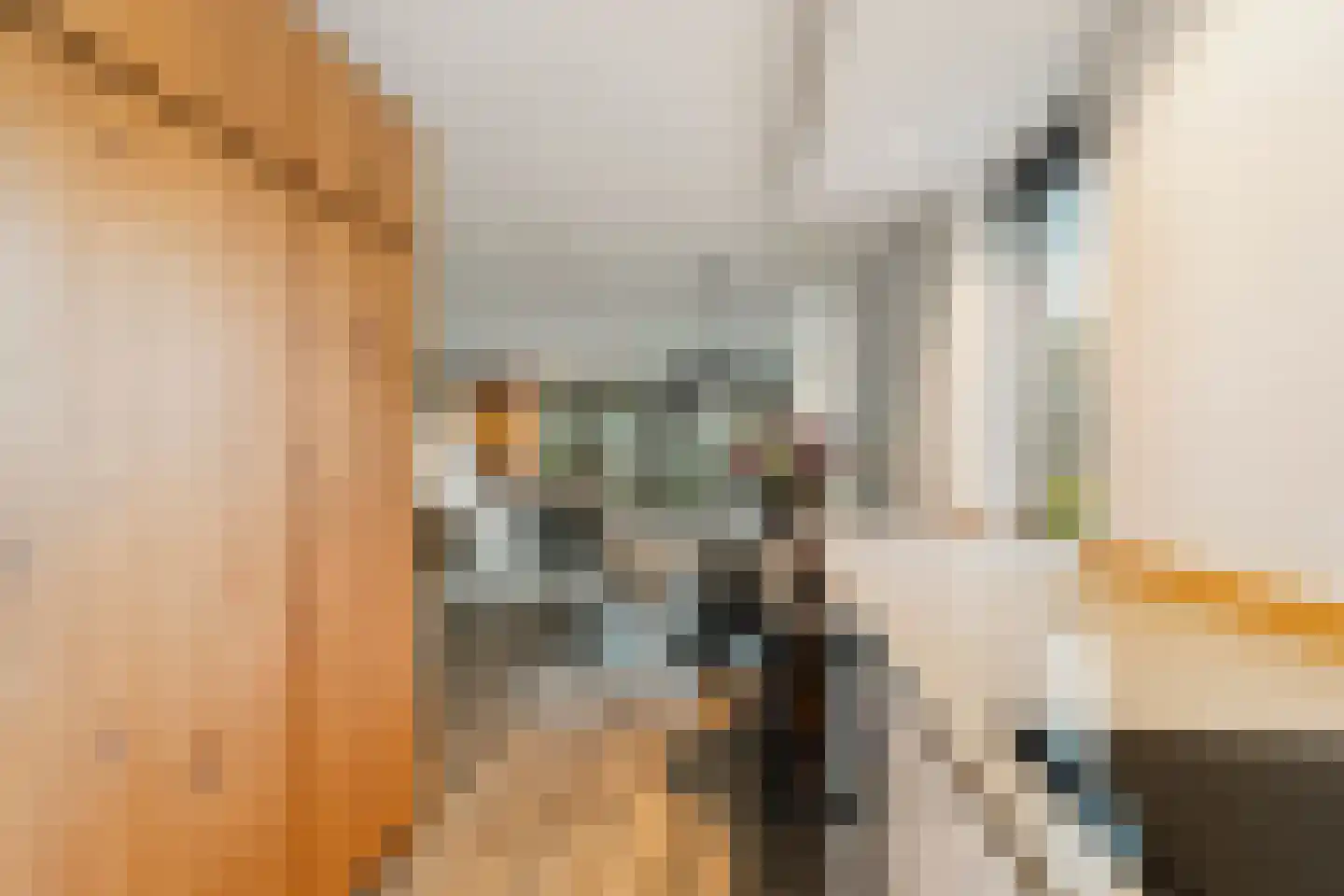 Hondemahof 16 Krommenie thumbnail 23