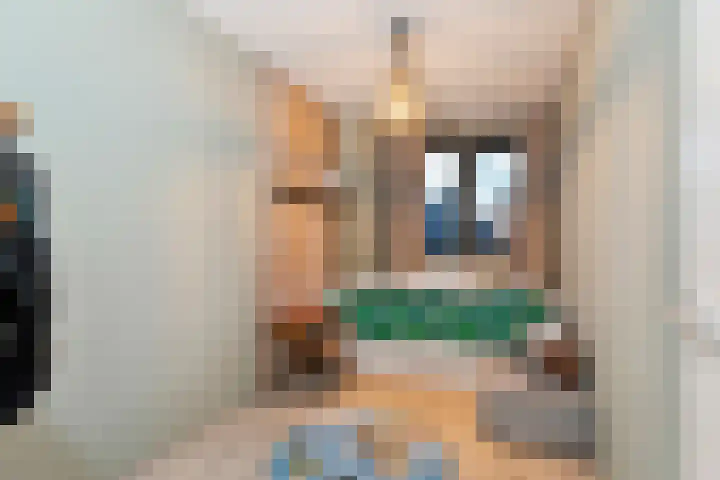 Hondemahof 16 Krommenie thumbnail 26
