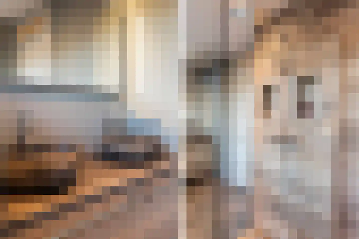 Hondemahof 16 Krommenie thumbnail 34