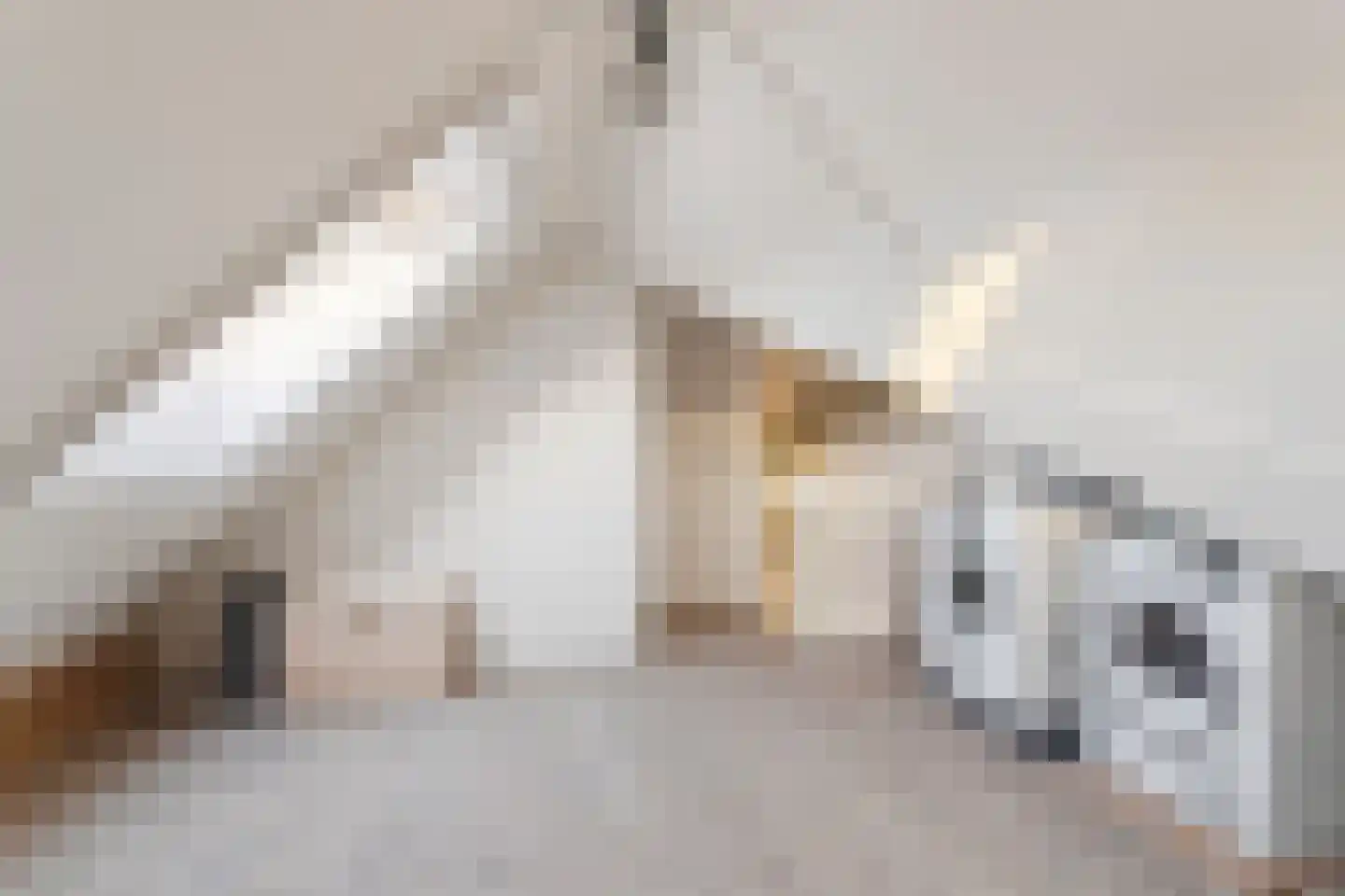Hondemahof 16 Krommenie thumbnail 39