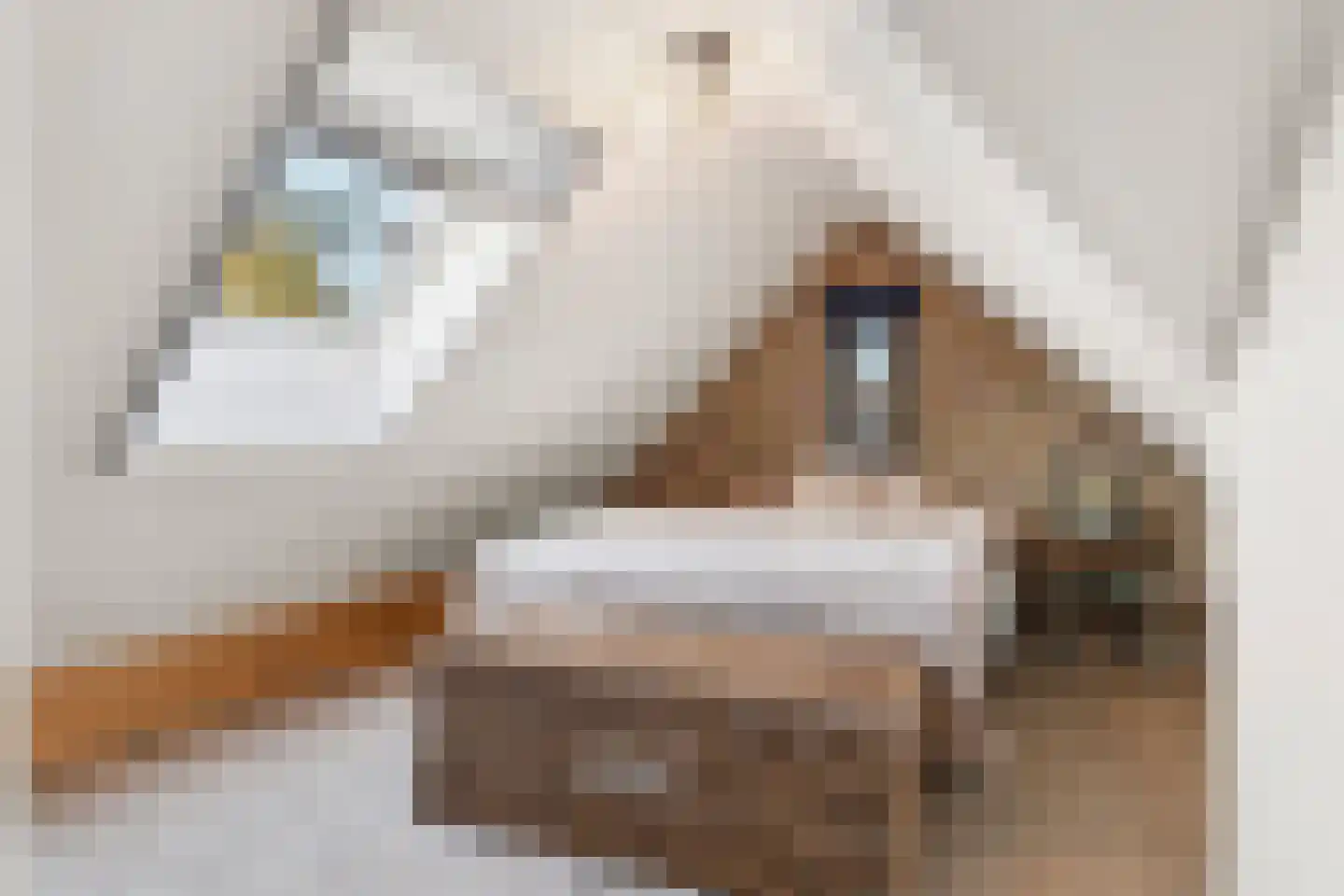 Hondemahof 16 Krommenie thumbnail 40