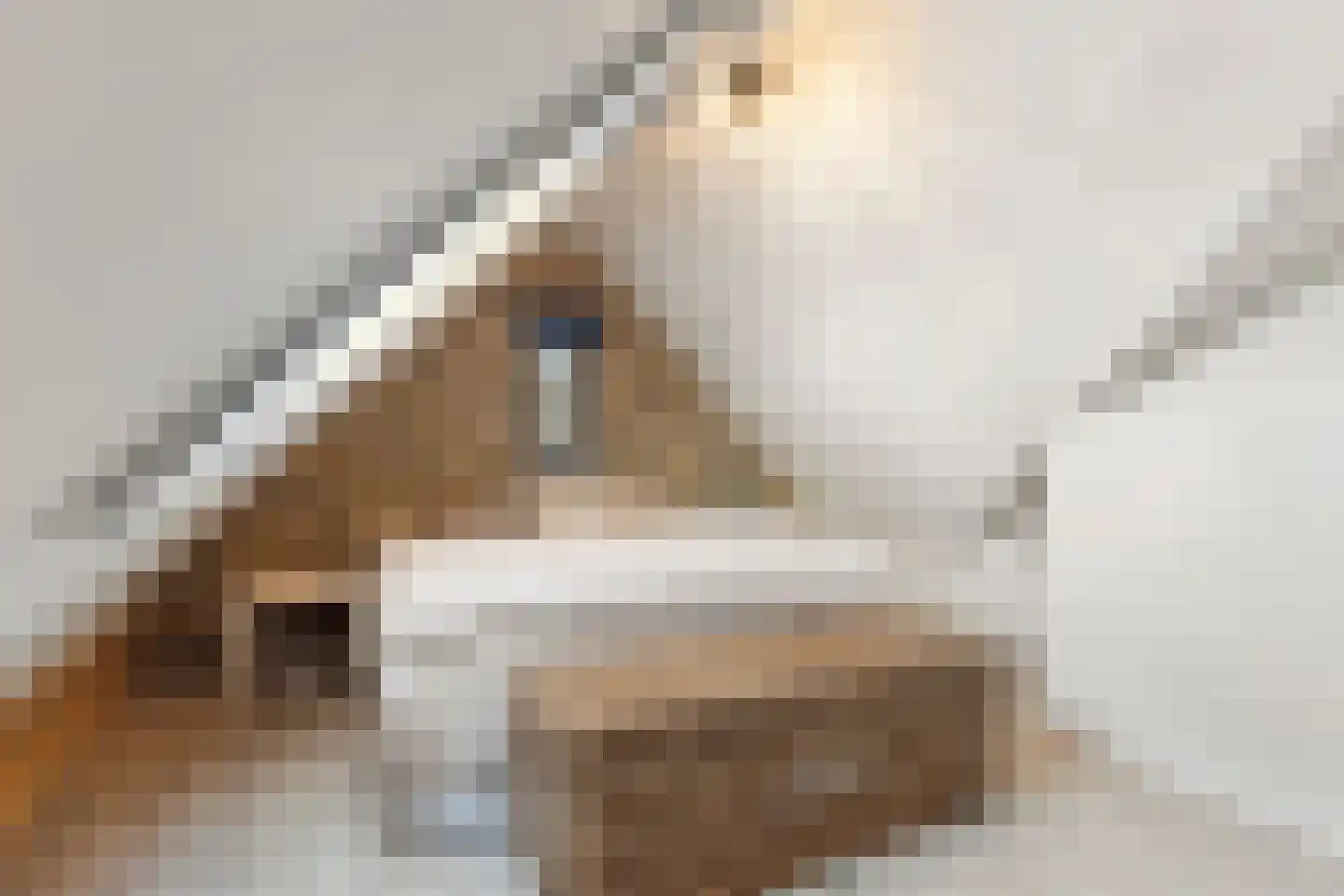 Hondemahof 16 Krommenie thumbnail 41
