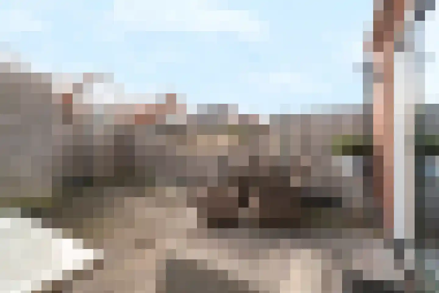 Hondemahof 16 Krommenie thumbnail 46