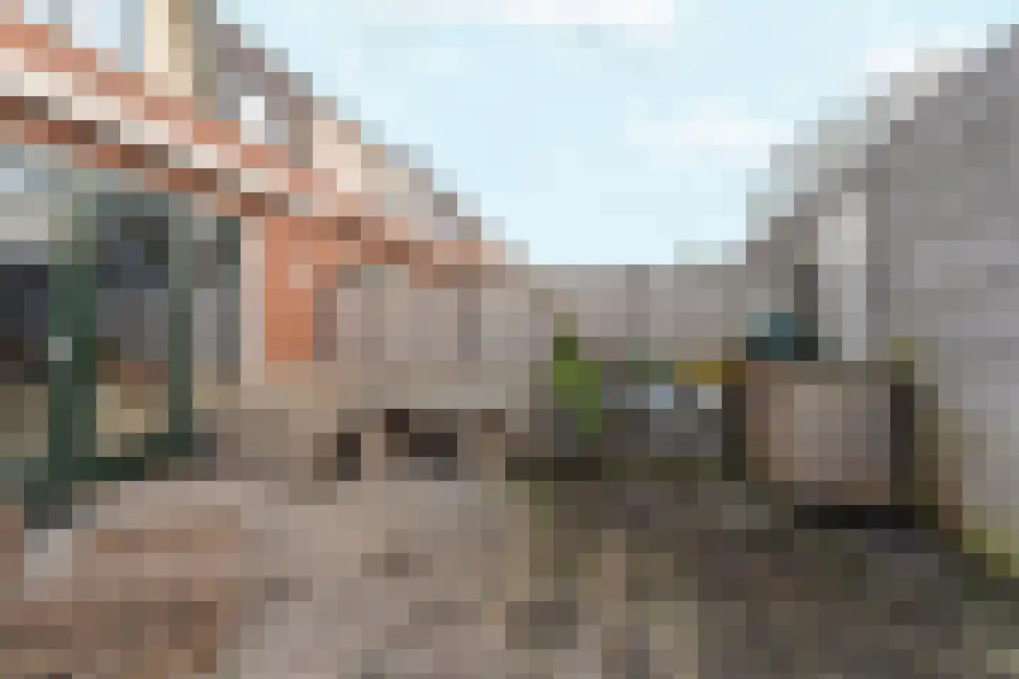 Hondemahof 16 Krommenie thumbnail 47