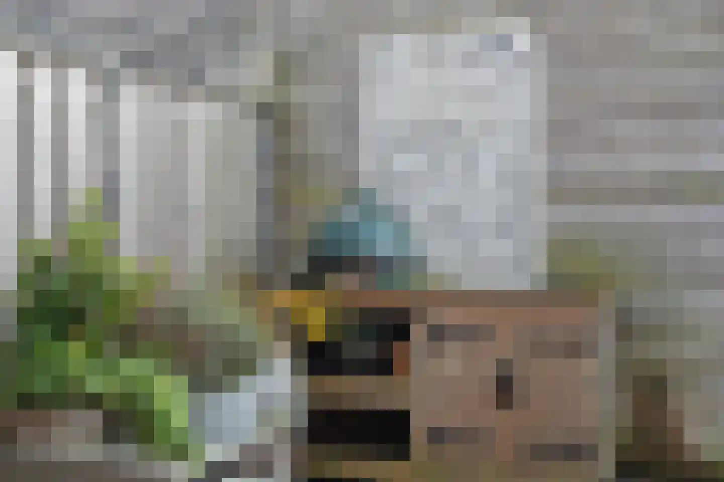 Hondemahof 16 Krommenie thumbnail 48