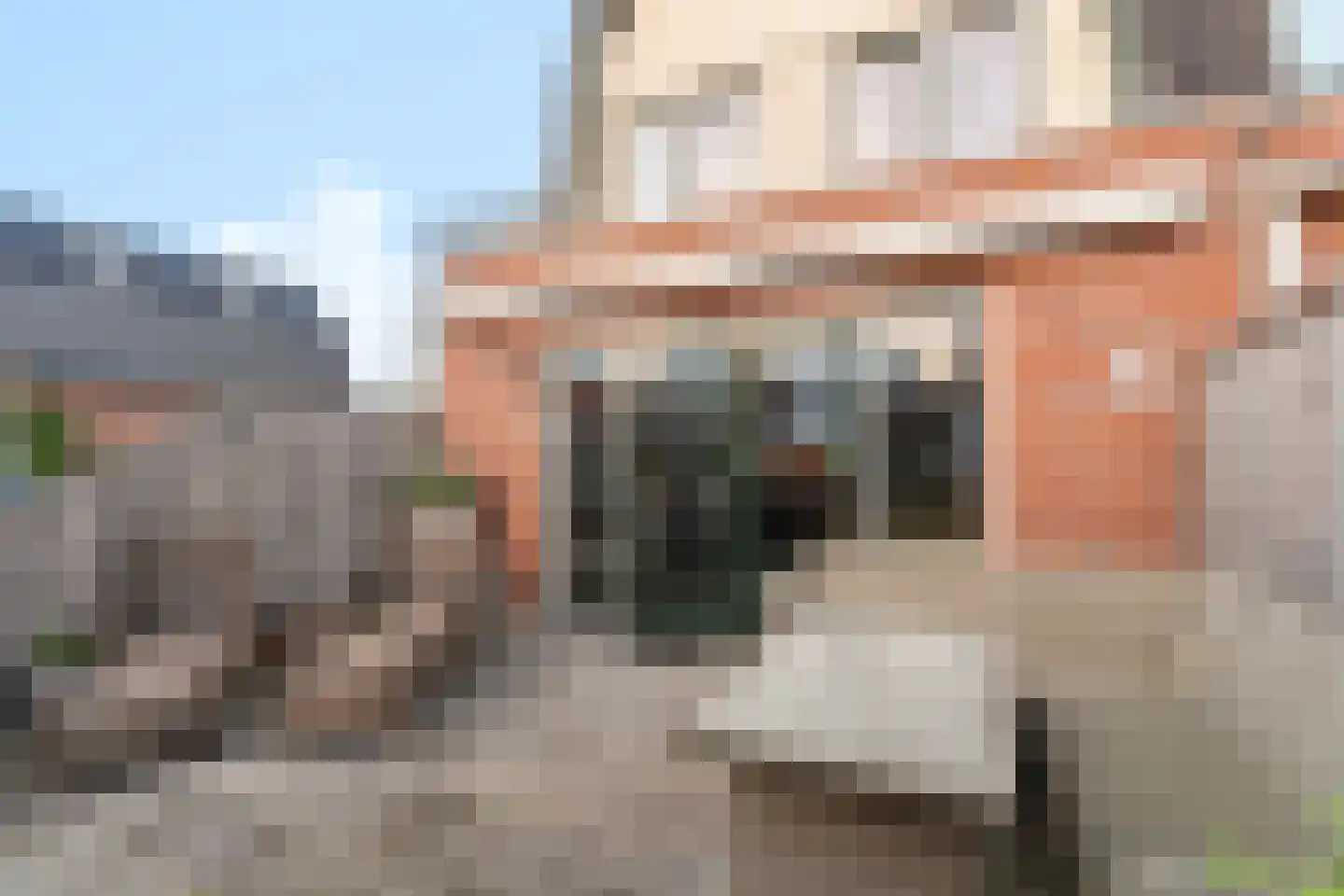 Hondemahof 16 Krommenie thumbnail 49