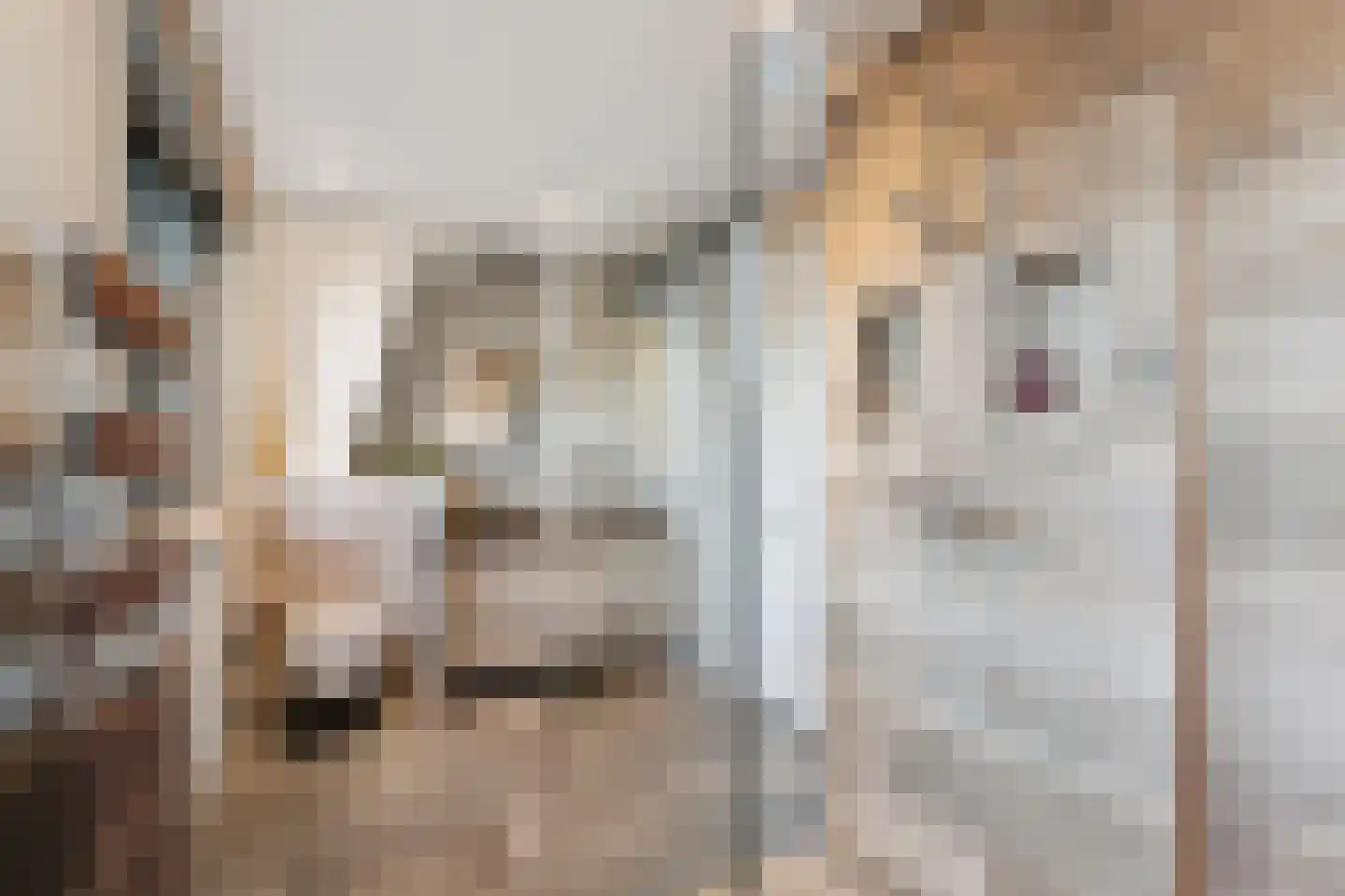 Hondemahof 16 Krommenie thumbnail 5