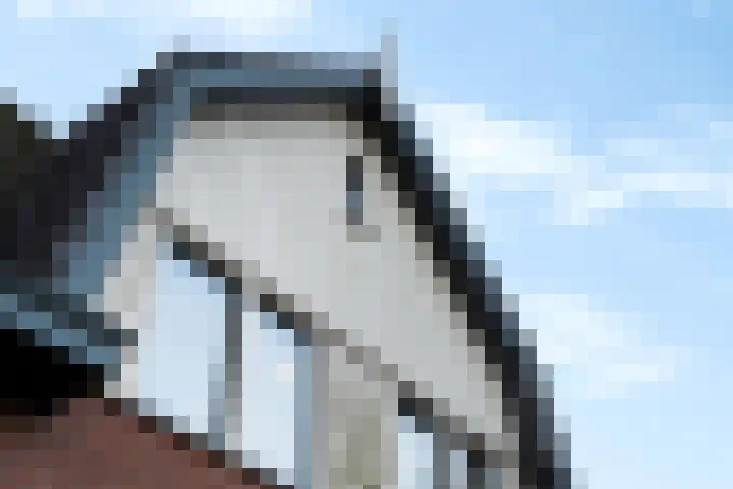 Hondemahof 16 Krommenie thumbnail 53