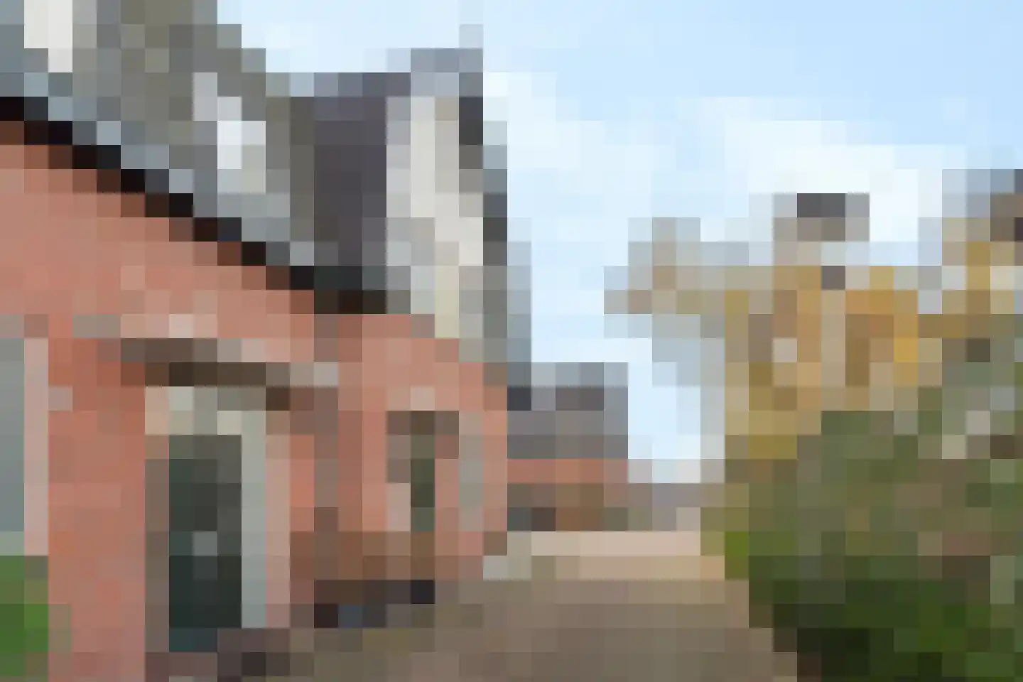 Hondemahof 16 Krommenie thumbnail 7