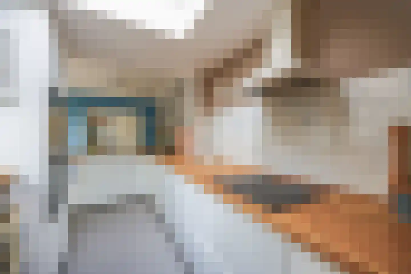 Hondemanstraat 10 Zaandam thumbnail 13