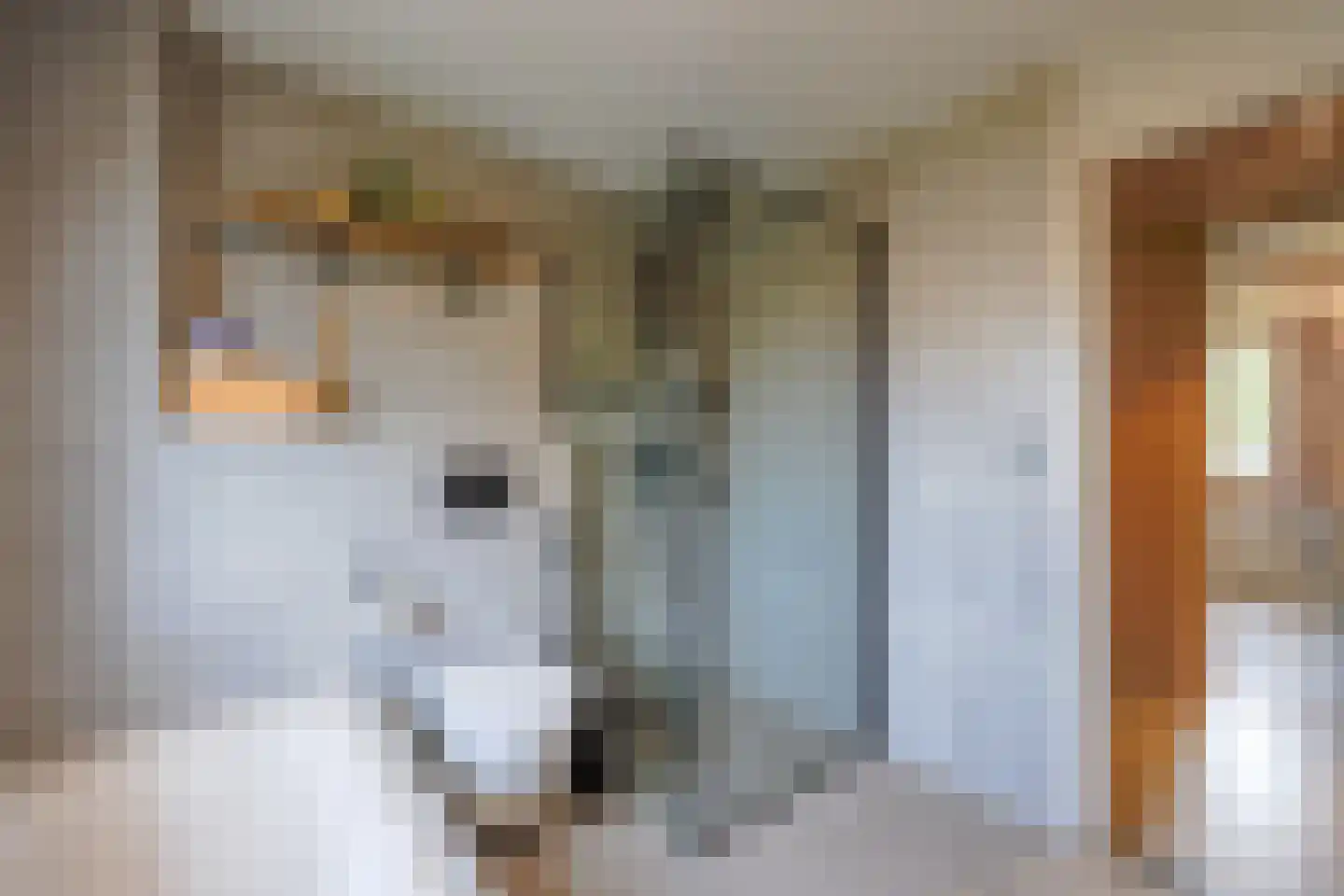 Hondemanstraat 10 Zaandam thumbnail 27