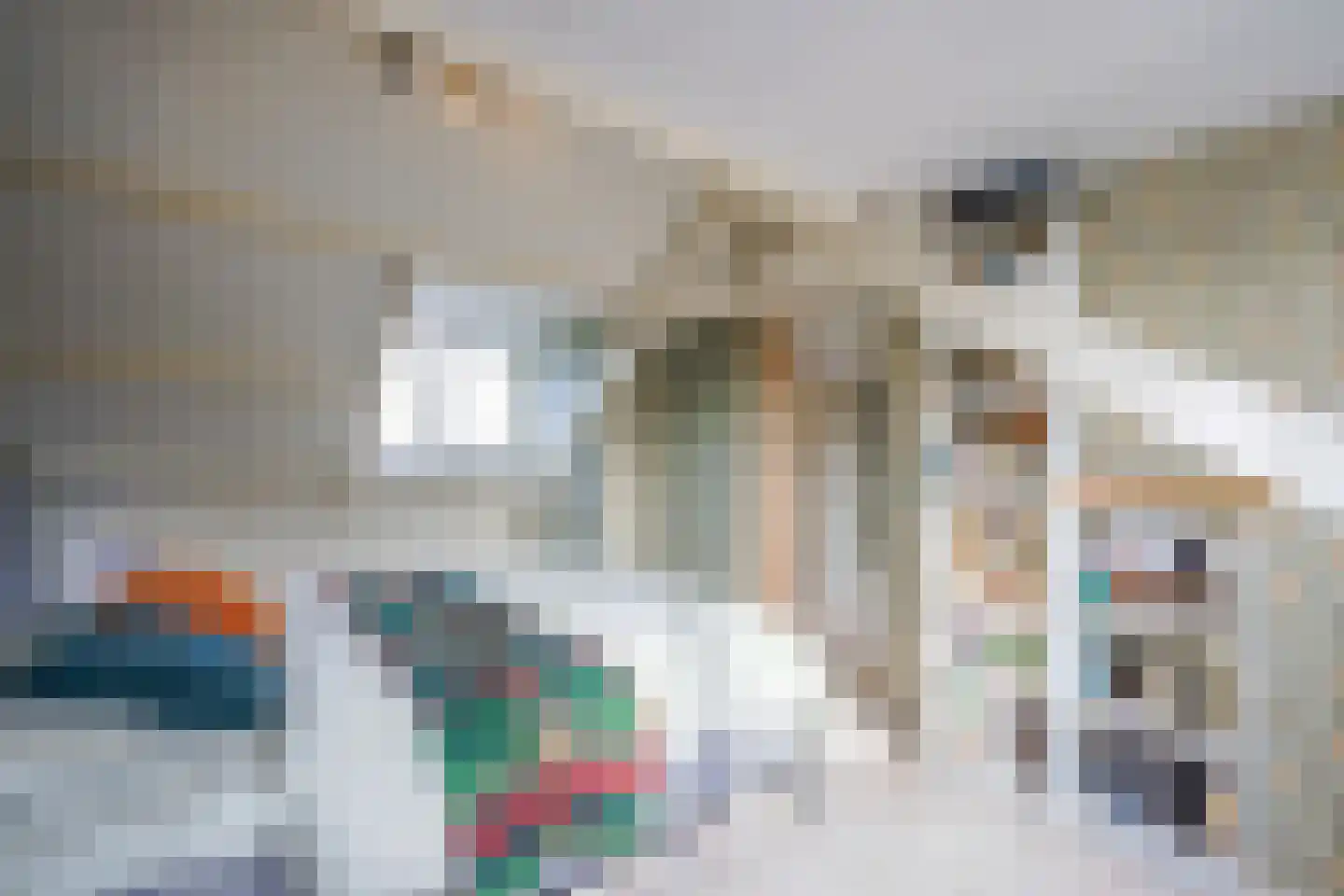 Hondemanstraat 10 Zaandam thumbnail 35