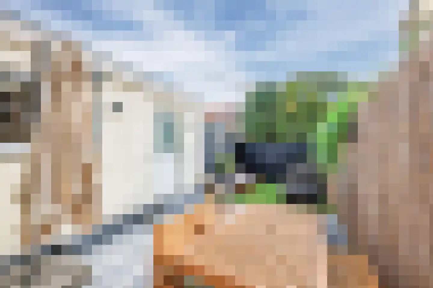 Hondemanstraat 10 Zaandam thumbnail 38