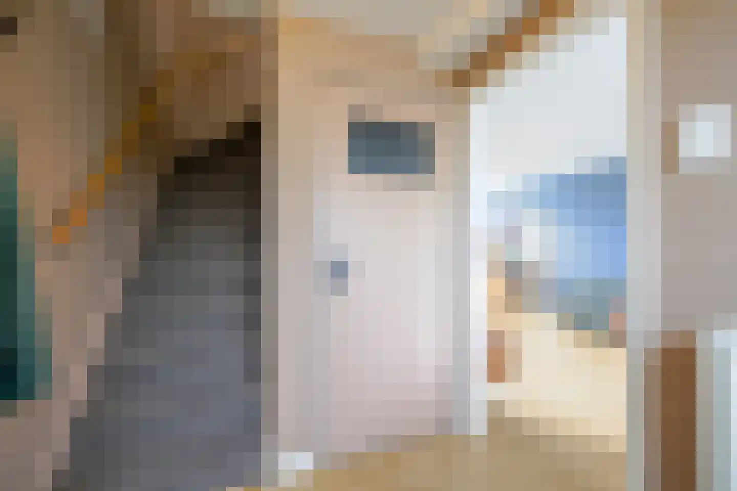 Hondemanstraat 10 Zaandam thumbnail 6