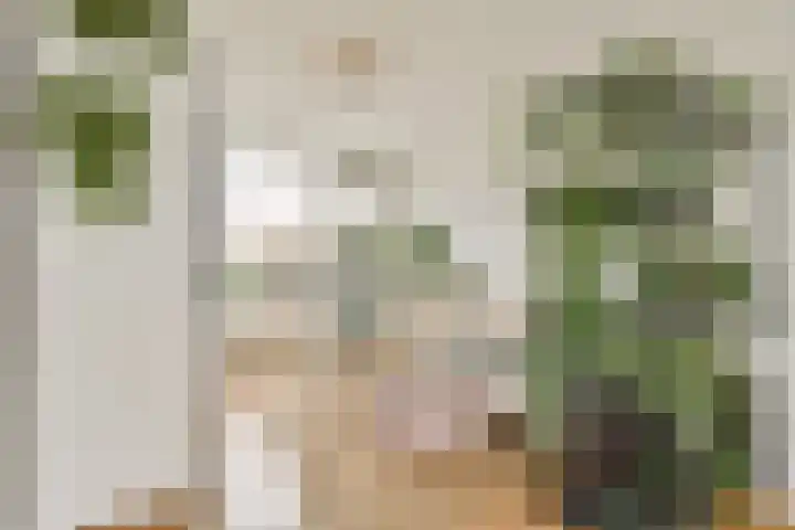Hondemanstraat 18 Zaandam thumbnail 17
