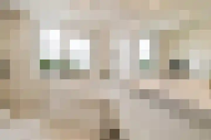 Hondemanstraat 18 Zaandam thumbnail 19